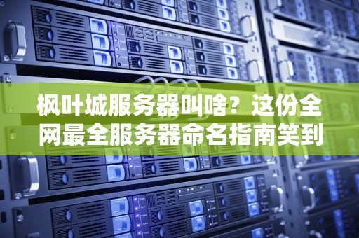 枫叶城服务器叫啥？这份全网最全服务器命名指南笑到掉渣！