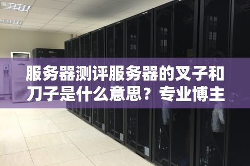 服务器测评服务器的叉子和刀子是什么意思？专业博主带你秒懂这些黑话！