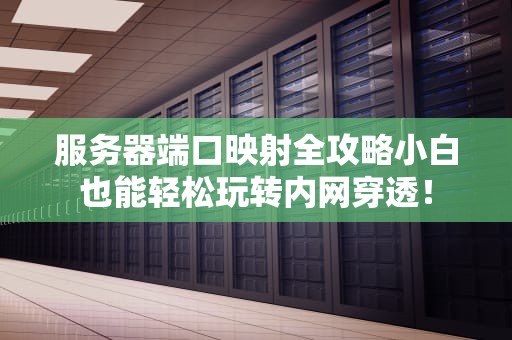 服务器端口映射全攻略小白也能轻松玩转内网穿透！