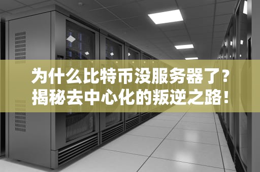 为什么比特币没服务器了？揭秘去中心化的叛逆之路！