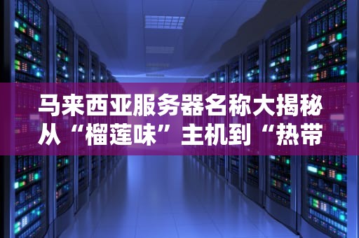 马来西亚服务器名称大揭秘从“榴莲味”主机到“热带风暴”云服务