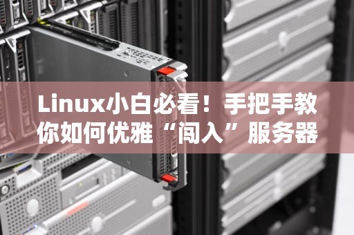 Linux小白必看！手把手教你如何优雅“闯入”服务器