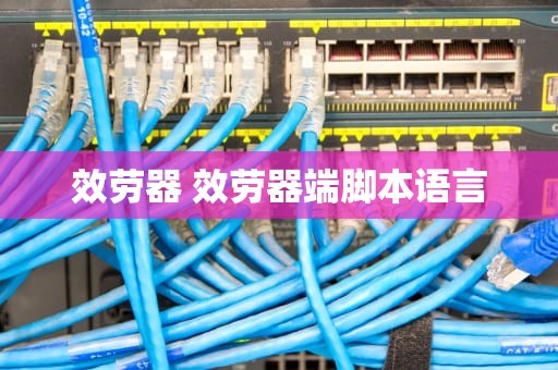 效劳器 效劳器端脚本语言