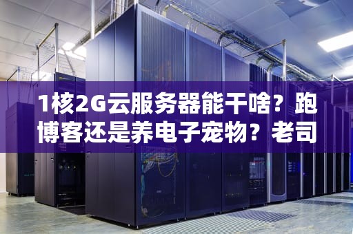 1核2G云服务器能干啥？跑博客还是养电子宠物？老司机实测告诉你真相！