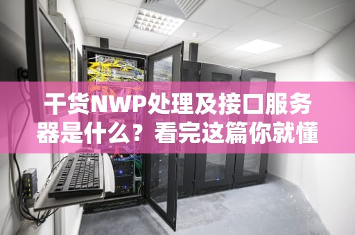 干货NWP处理及接口服务器是什么？看完这篇你就懂了！