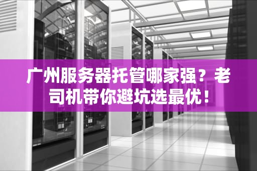 广州服务器托管哪家强？老司机带你避坑选最优！