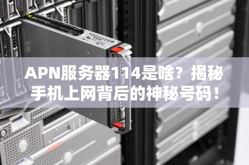 APN服务器114是啥？揭秘手机上网背后的神秘号码！