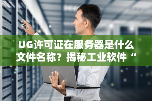 UG许可证在服务器是什么文件名称？揭秘工业软件“通行证”的藏身之处！