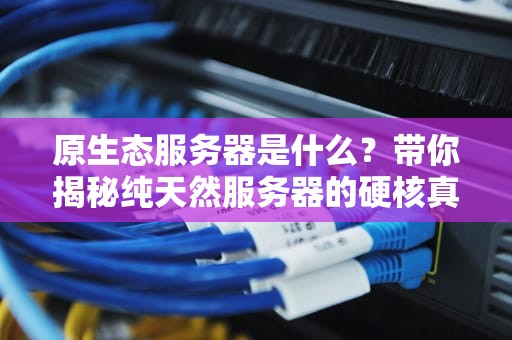 原生态服务器是什么？带你揭秘纯天然服务器的硬核真相！