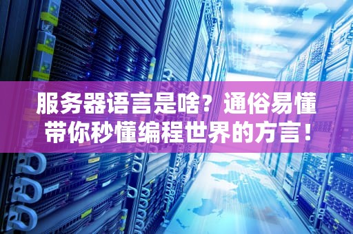 服务器语言是啥？通俗易懂带你秒懂编程世界的方言！