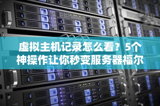 虚拟主机记录怎么看？5个神操作让你秒变服务器福尔摩斯！