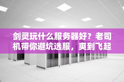 剑灵玩什么服务器好？老司机带你避坑选服，爽到飞起！