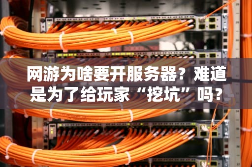 网游为啥要开服务器？难道是为了给玩家“挖坑”吗？