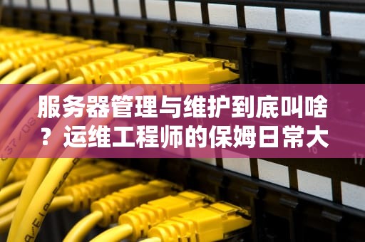 服务器管理与维护到底叫啥？运维工程师的保姆日常大揭秘！