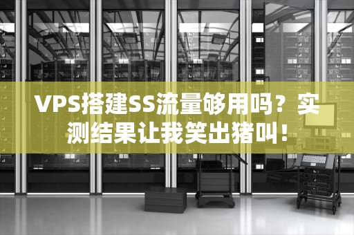 VPS搭建SS流量够用吗？实测结果让我笑出猪叫！
