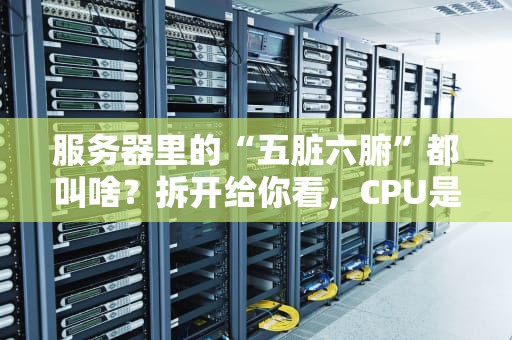 服务器里的“五脏六腑”都叫啥？拆开给你看，CPU是心脏，硬盘是胃！