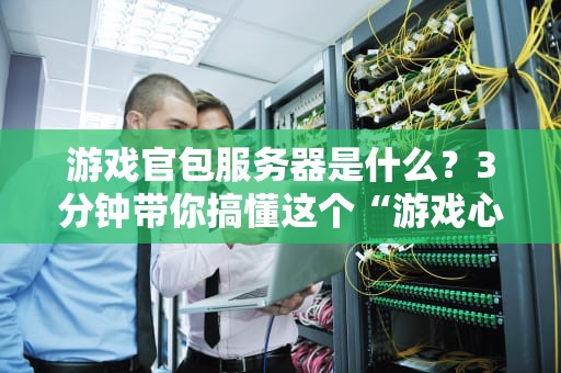 游戏官包服务器是什么？3分钟带你搞懂这个“游戏心脏”的硬核知识！