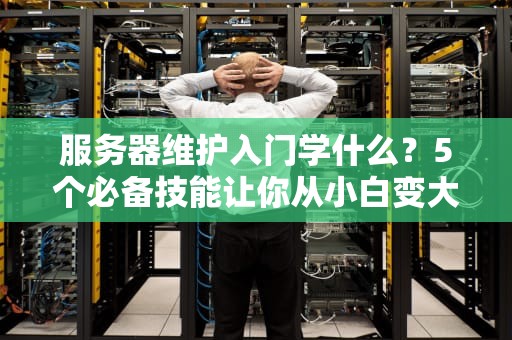 服务器维护入门学什么？5个必备技能让你从小白变大神！