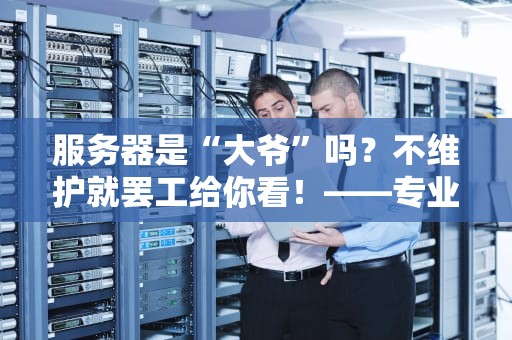 服务器是“大爷”吗？不维护就罢工给你看！——专业博主带你揭秘服务器维护那些事儿