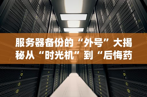 服务器备份的“外号”大揭秘从“时光机”到“后悔药”，这些专业术语你get了吗？