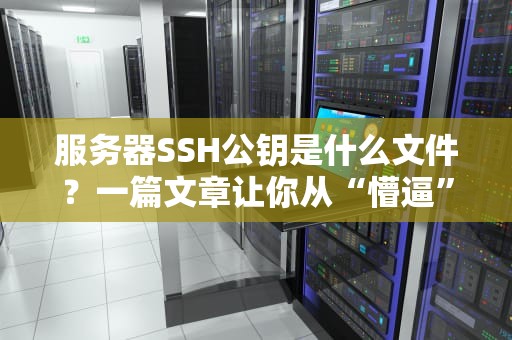 服务器SSH公钥是什么文件？一篇文章让你从“懵逼”到“真香”！