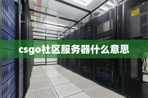 csgo社区服务器什么意思