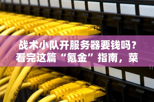 战术小队开服务器要钱吗？看完这篇“氪金”指南，菜鸟变老司机！