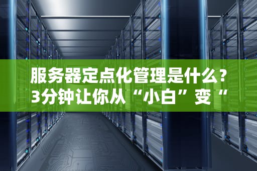 服务器定点化管理是什么？3分钟让你从“小白”变“大神”！