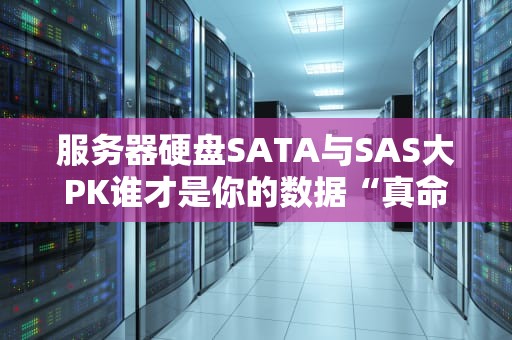 服务器硬盘SATA与SAS大PK谁才是你的数据“真命天子”？