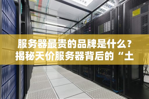 服务器最贵的品牌是什么？揭秘天价服务器背后的“土豪玩家”