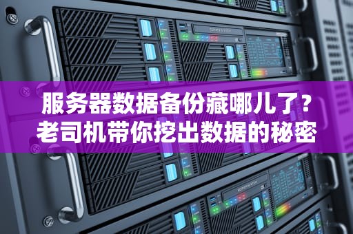服务器数据备份藏哪儿了？老司机带你挖出数据的秘密基地！