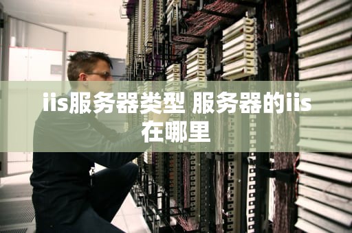 iis服务器类型 服务器的iis在哪里