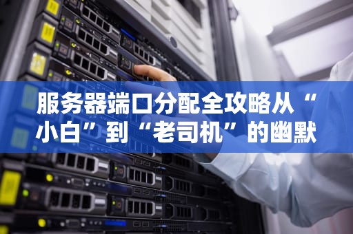 服务器端口分配全攻略从“小白”到“老司机”的幽默指南