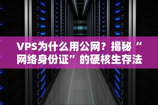 VPS为什么用公网？揭秘“网络身份证”的硬核生存法则！