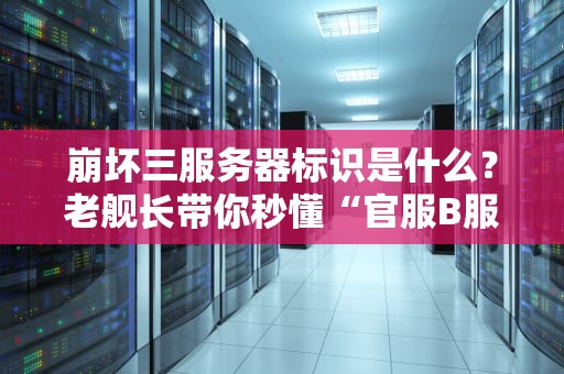 崩坏三服务器标识是什么？老舰长带你秒懂“官服B服”的玄学区别！