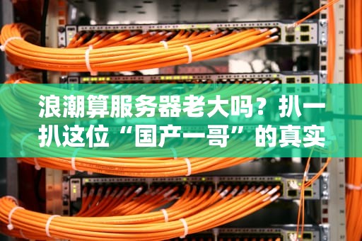 浪潮算服务器老大吗？扒一扒这位“国产一哥”的真实战斗力！