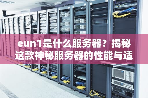 eun1是什么服务器？揭秘这款神秘服务器的性能与适用场景！