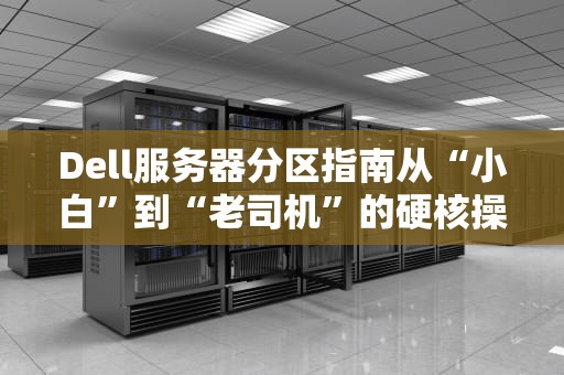 Dell服务器分区指南从“小白”到“老司机”的硬核操作手册