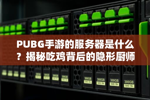 PUBG手游的服务器是什么？揭秘吃鸡背后的隐形厨师！