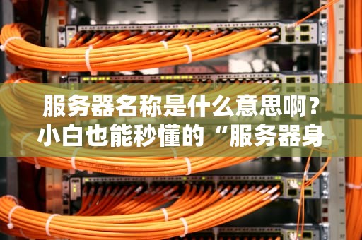 服务器名称是什么意思啊？小白也能秒懂的“服务器身份证”科普