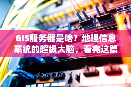 GIS服务器是啥？地理信息系统的超级大脑，看完这篇你就懂了！