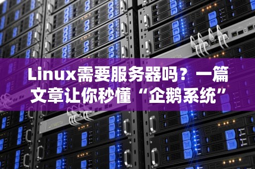 Linux需要服务器吗？一篇文章让你秒懂“企鹅系统”的生存之道！
