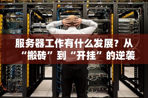 服务器工作有什么发展？从“搬砖”到“开挂”的逆袭之路！