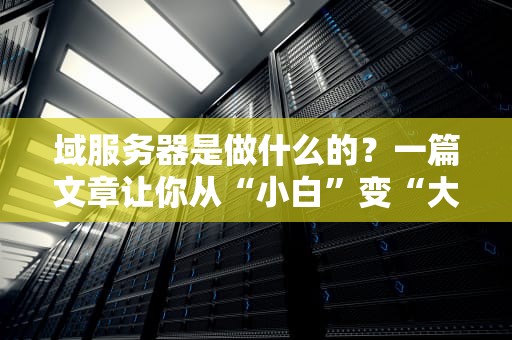 域服务器是做什么的？一篇文章让你从“小白”变“大神”（附真实测评）