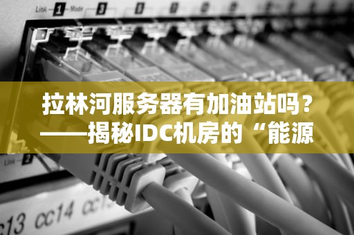 拉林河服务器有加油站吗？——揭秘IDC机房的“能源补给站”