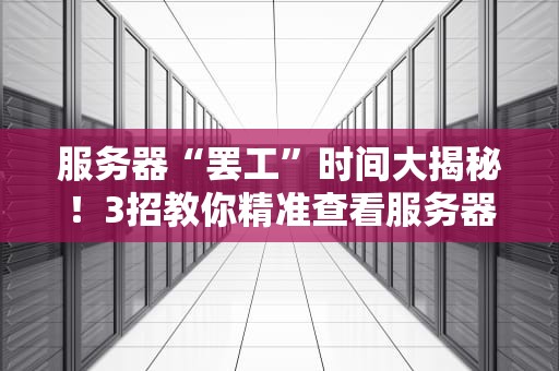 服务器“罢工”时间大揭秘！3招教你精准查看服务器关机记录