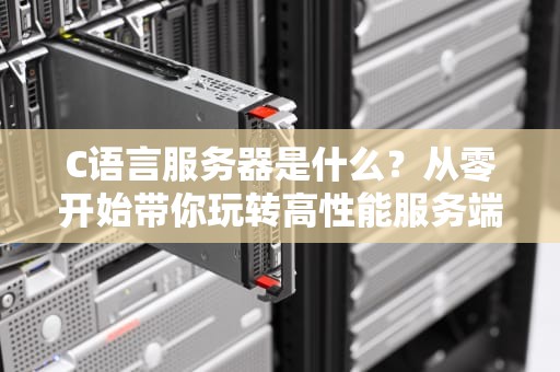 C语言服务器是什么？从零开始带你玩转高性能服务端开发！