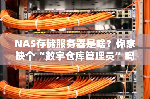 NAS存储服务器是啥？你家缺个“数字仓库管理员”吗？