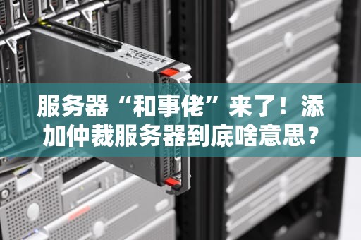 服务器“和事佬”来了！添加仲裁服务器到底啥意思？一文让你笑出8块腹肌！