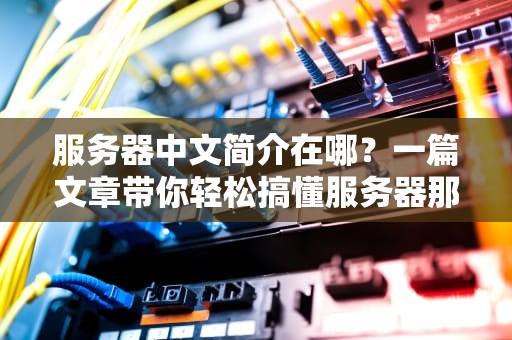 服务器中文简介在哪？一篇文章带你轻松搞懂服务器那些事儿！